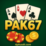 PAK67 Game