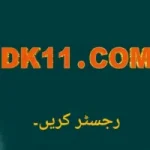 DK11 Game logo